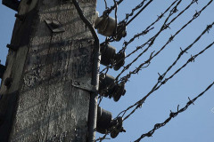 Auschwitz_Birkenau